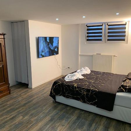 Studio 45M2 Tres Calme Village-Neuf المظهر الخارجي الصورة